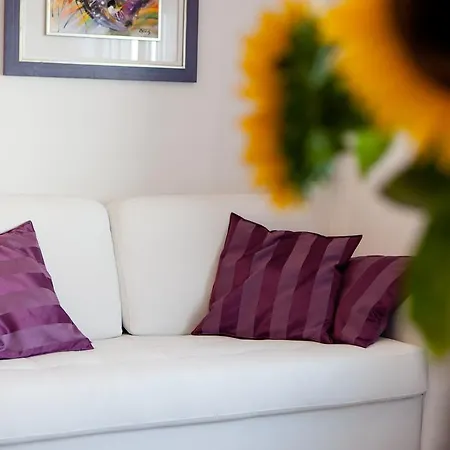 Apartment Nika